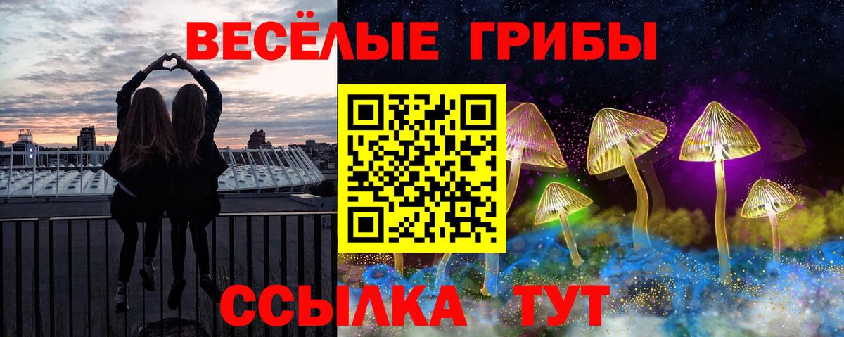 Псилоцибиновые грибы Psilocybine cubensis  Вход с VPN  Галлюциногенные грибы Cubensis  Ахтубинск 