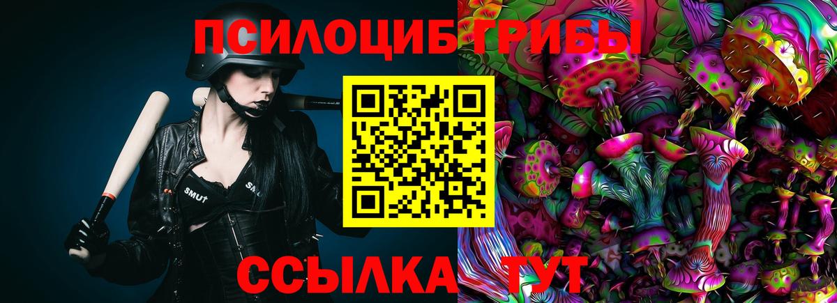 Псилоцибиновые грибы Cubensis Ахтубинск
