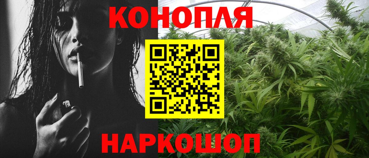Каннабис OG Kush Ахтубинск